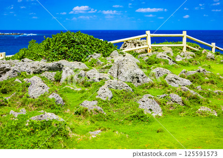 宮古島著名旅遊景點－東平安名崎的蔚藍大海、海嘯石、海嘯岩、珊瑚礁，盡情享受熱帶度假時光（沖繩縣宮古島市） 125591573