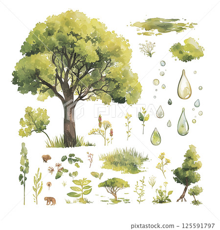 Nature illustration showcasing trees, wildlife, and environmental elements in a serene landscape setting Nature illustration showcasing trees, wildlife, and environmental elements in a serene landscape setting 125591797