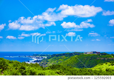 A tropical vacation at a famous tourist spot in Miyakojima: the blue sea, tsunami stones, tsunami rocks, and coral reefs of Higashi-Hennasaki (Miyakojima City, Okinawa Prefecture) 125592003