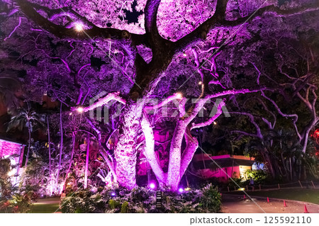 夏威夷皇家夏威夷飯店赫爾莫爾花園的夜景 夏威夷皇家夏威夷飯店赫爾莫爾花園的夜景 125592110