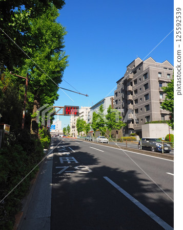 Meguro Street. Road scene in front of Toritsu Daigaku Station. Meguro Street. Road scene in front of Toritsu Daigaku Station. 125592539