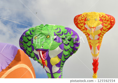 Kite festival. Kites in the sky in a Dieppe 125592554