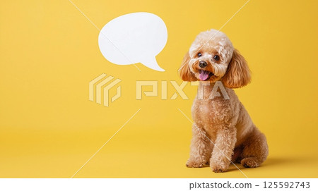 淺色背景上微笑的玩具貴賓犬和語音泡沫 125592743