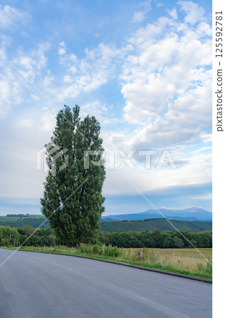 Ken and Mary's Tree and Biei's Rural Gardens 125592781