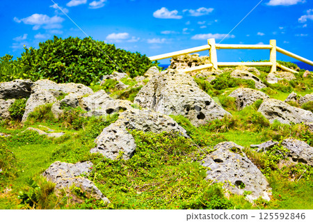 A famous tourist spot on Miyako Island, a tropical vacation spot, the blue sea and limestone with holes peeking through the cliffs and roads of Higashi-Hennasaki (Miyakojima City, Okinawa Prefecture) 125592846