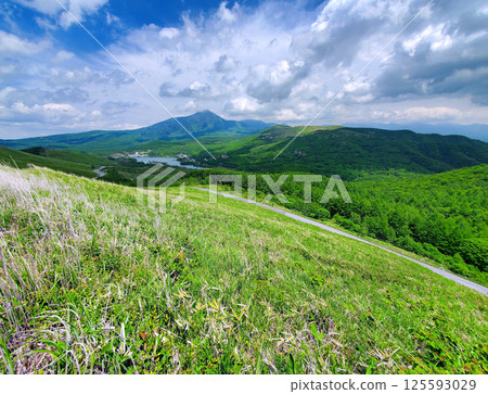 霧峰高原和蓼科山的清爽六月 霧峰高原和蓼科山的清爽六月 125593029