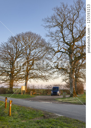Van parked near picnic area in countryside at sunset under bare trees 125593213