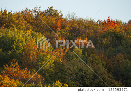 Colorful autumn forest covering a hill at sunset near Silica (Szilice), National Park Slovak Kras, Slovakia Colorful autumn forest covering a hill at sunset near Silica (Szilice), National Park Slovak Kras, Slovakia 125593371