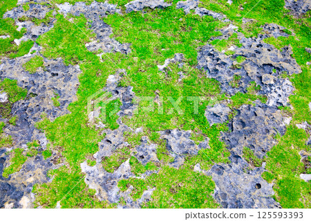 [Background] A famous tourist spot on Miyako Island, a tropical vacation spot, the natural limestone and green plants of Higashi-Hennasaki Cape (Miyakojima City, Okinawa Prefecture) 125593393