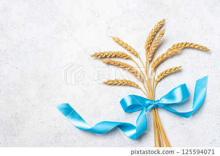 Wheat crops with blue ribbon. Shavuot concept. Wheat crops with blue ribbon. Shavuot concept. 125594071