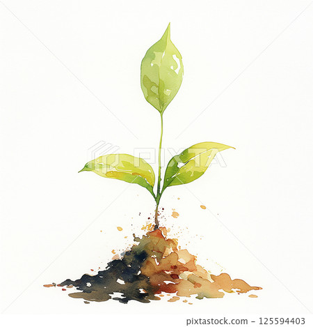 Young plant sprouting from soil in a garden, symbolizing growth and nature's renewal Young plant sprouting from soil in a garden, symbolizing growth and nature's renewal 125594403