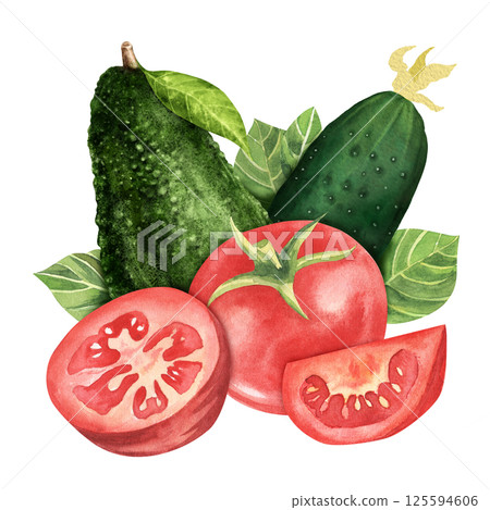 Fresh vegetables. Tomato with cucumber, avocado and greenery. Hand drawn watercolor illustration, isolated on white background. For restaurant, market, kitchen , decoration, stickers, books Fresh vegetables. Tomato with cucumber, avocado and greenery. Hand drawn watercolor illustration, isolated on white background. For restaurant, market, kitchen , decoration, stickers, books 125594606