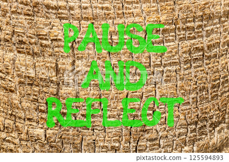 Pause and reflect symbol. Concept words Pause and reflect on beautiful palm bark. Beautiful palm bark background. Business motivational lifestyle pause and reflect concept. Copy space. 125594893