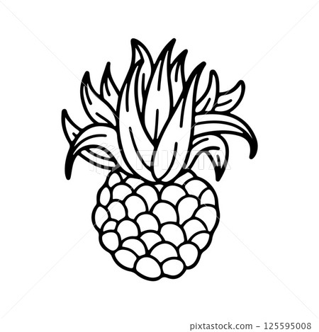 Doodle vector of agave with long spiky leaves. Minimal plant icon for eco, tequila, or botanical design. Simple and bold. 125595008