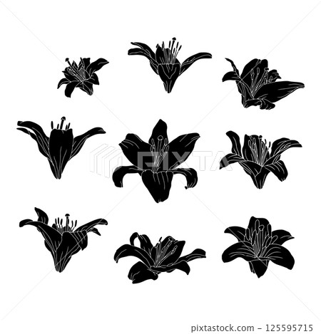 Hand drawn black silhouette of lily bloom linocuts set. Monochrome birth month May flowers bundle. Botanical vector illustration collection 125595715