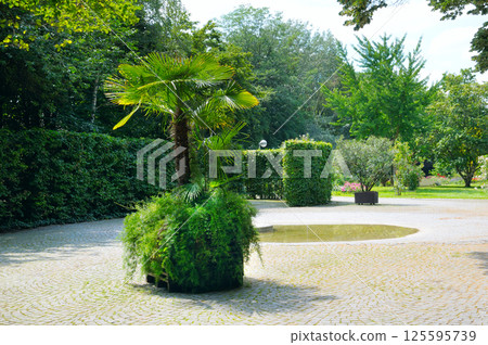 landscaped park with a garden bed and different trees and bushes on a turf lawn 125595739