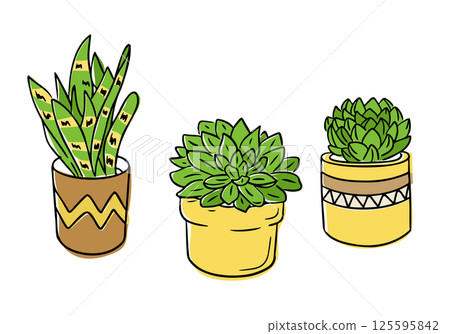 Hand drawn set of three potted succulents Hand drawn set of three potted succulents 125595842