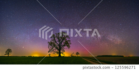 Landscape with Milky way galaxy. Night sky with stars Landscape with Milky way galaxy. Night sky with stars 125596271