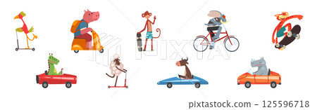 Cute Animal Character Riding Different Transport Vector Set 125596718