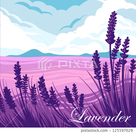 Field lavanda vector illustration. 125597029