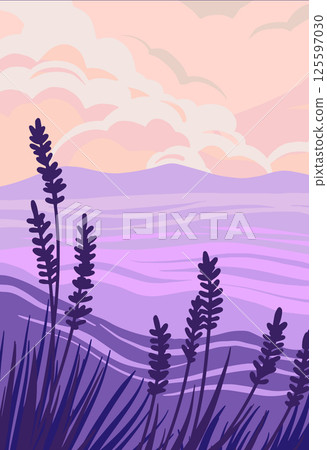 Field lavanda vector illustration. 125597030