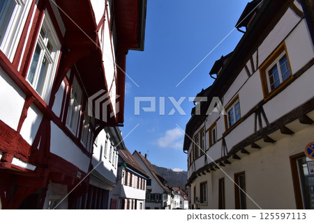 Alleyways and half-timbered buildings of the old town of Blaubeuren, Germany 125597113