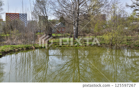 Landscape in early spring with melt water. Russia 125597267