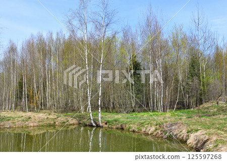 Landscape in early spring with melt water. Russia 125597268