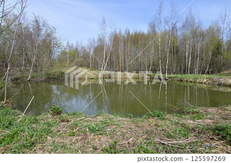 Landscape in early spring with melt water. Russia Landscape in early spring with melt water. Russia 125597269