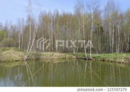 Landscape in early spring with melt water. Russia Landscape in early spring with melt water. Russia 125597270