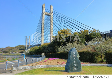 [愛媛郡] 從池橋紀念公園看到的池橋（夢島街道） 125597375