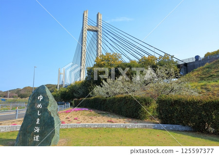 [Ehime Prefecture] Ikinabashi Bridge (Yumeshima Kaido) seen from Ikinabashi Memorial Park 125597377
