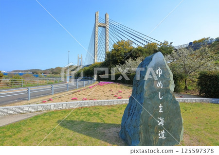 [愛媛郡] 從池橋紀念公園看到的池橋（夢島街道） 125597378