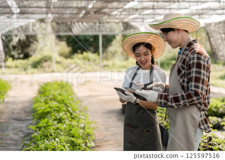 Couple Using Modern Technology to Cultivate an Herbal Garden in a Greenhouse Setting Couple Using Modern Technology to Cultivate an Herbal Garden in a Greenhouse Setting 125597516