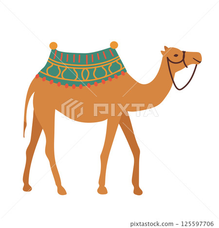 Camel with Morocco ornate textile in vase in flat design. Traditional desert animal. Vector illustration isolated. 125597706