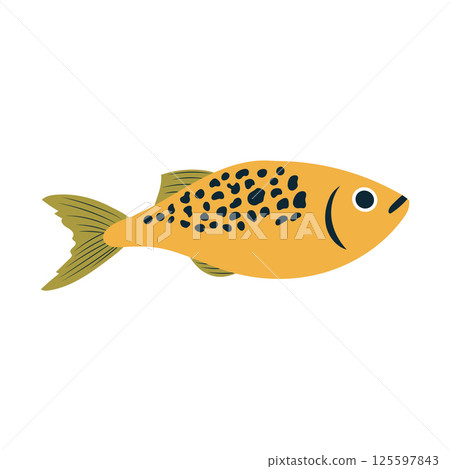 Atlantic fish flat in flat design. Wildlife tuna or salmon, seafood menu. Vector illustration isolated. Atlantic fish flat in flat design. Wildlife tuna or salmon, seafood menu. Vector illustration isolated. 125597843