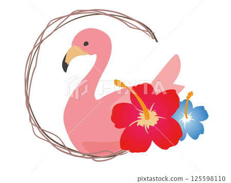 火烈鳥芙蓉 125598110