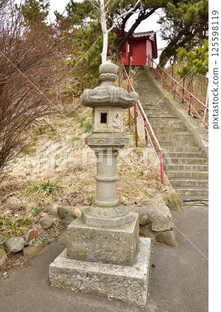 拍攝北海道函館竹駒稻荷大明神社的春天風景 125598119