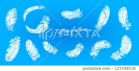 Feathers on white background. Hand drawn black fluffy feathers. Line and Ink sketch. Vintage style 125598526