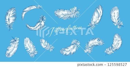 Feathers on white background. Hand drawn black fluffy feathers. Line and Ink sketch. Vintage style 125598527
