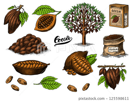 Cocoa Beans and Chocolate for t-shirts, typography, shop or signboards. Hand Drawn engraved sketch Cocoa Beans and Chocolate for t-shirts, typography, shop or signboards. Hand Drawn engraved sketch 125598611