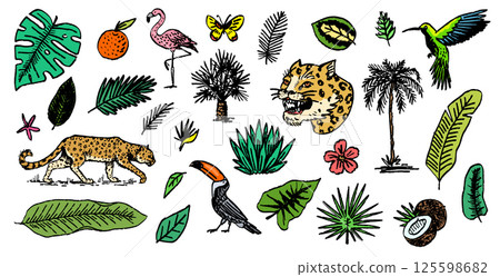 Japanese leopard or jaguar with tropical leaves, toucan, flamingo, hummingbird. Wild animal with 125598682