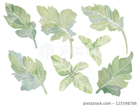 Set of seven green leaves. Fresh watercolor illustration on white background. Abstract clip art for postcards, business cards, invitations. Printing on tableware, covers, product packaging, etc. Set of seven green leaves. Fresh watercolor illustration on white background. Abstract clip art for postcards, business cards, invitations. Printing on tableware, covers, product packaging, etc. 125598786