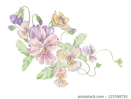 Violets flowers. Watercolor clipart illustration of abstract flower composition on white background. For invitations, postcards, business cards. Decorating cups, dishes, other printed materials. 125598791