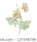 Yellow viola flower. Watercolor clipart illustration of flower composition, isolated on white background. For invitations, postcards, business cards. Decorating cups, dishes, other printed materials. 125598796