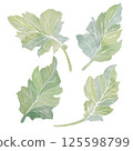 Set of four green leafs. Fresh watercolor illustration on white background. Abstract clip art for postcards, business cards, invitations. Printing on tableware, covers, product packaging, etc. 125598799