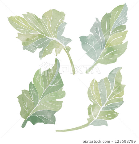 Set of four green leafs. Fresh watercolor illustration on white background. Abstract clip art for postcards, business cards, invitations. Printing on tableware, covers, product packaging, etc. Set of four green leafs. Fresh watercolor illustration on white background. Abstract clip art for postcards, business cards, invitations. Printing on tableware, covers, product packaging, etc. 125598799