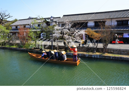 【岡山縣】倉敷美觀地區(國家重要傳統建造物群保存地區)春季櫻花盛開 【岡山縣】倉敷美觀地區(國家重要傳統建造物群保存地區)春季櫻花盛開 125598824