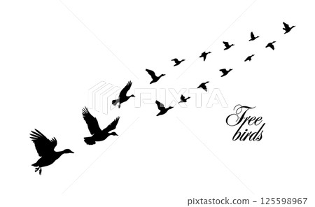 A flock of ducks flying. hand drawing. Not AI. Vector illustration 125598967
