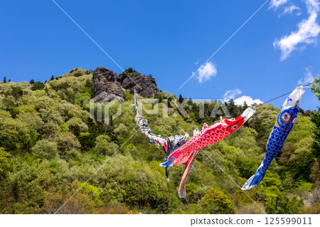 Road Station玲山竹山鯉魚旗 125599011